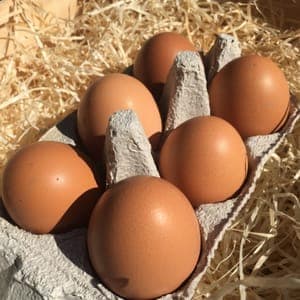 OEUFS FRAIS BIO ( Date de ponte entre 1 et 5 jours)