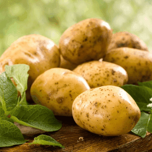 Pomme de terre Bintje / Monalisa