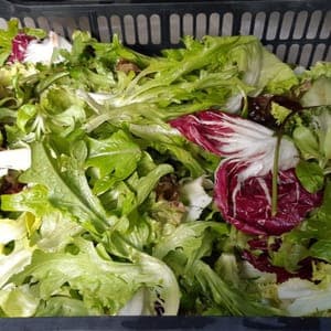 Salade en mélange