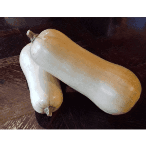Butternut (Sarrat)