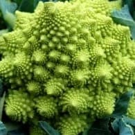 chou romanesco