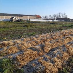 Les Champs Heureux #8