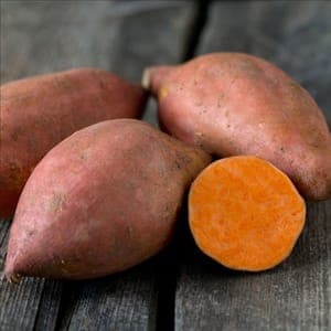 Patate douce Beauregard