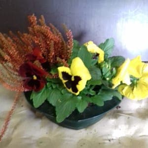 Coupe florale avec 4-5 plantes