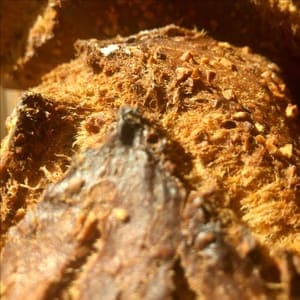 Pain de Campagne Biologique aux Noisettes