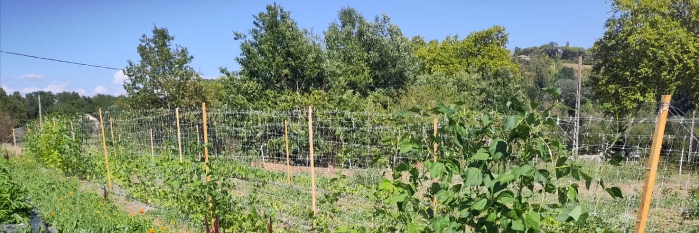 Bannière de SARL le Mas de Laujol