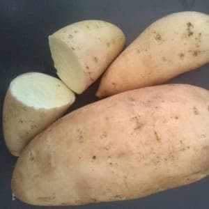 Patate douce blanche Bonita