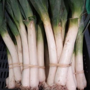 Poireaux Botte