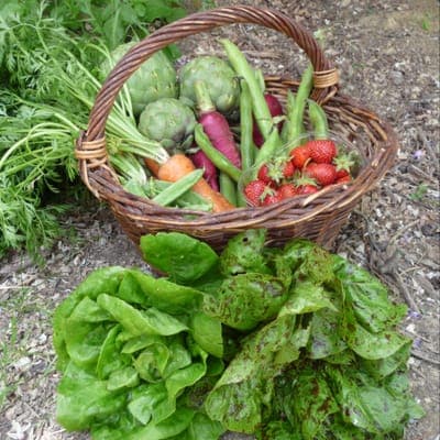 Logo de La Cagette Lafageoise du Jardin de Pluie
