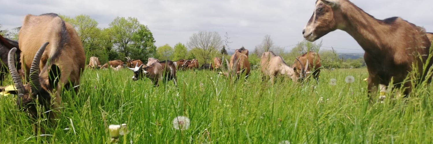 Bannière de Les Jardins du Cabri