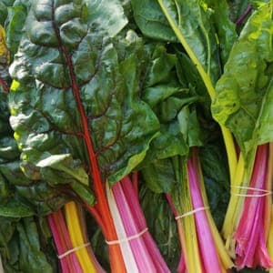 🐸 Blettes multicolores