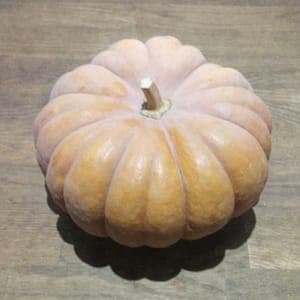 Courge