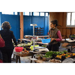 Le champ du ver luisant #6