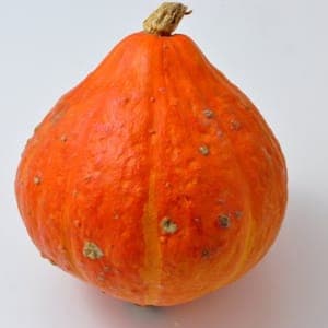 courge