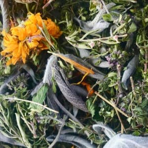 TISANE LA DANSE DES HIRONDELLES