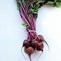 Betterave Rouge