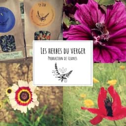 Les herbes du verger #8