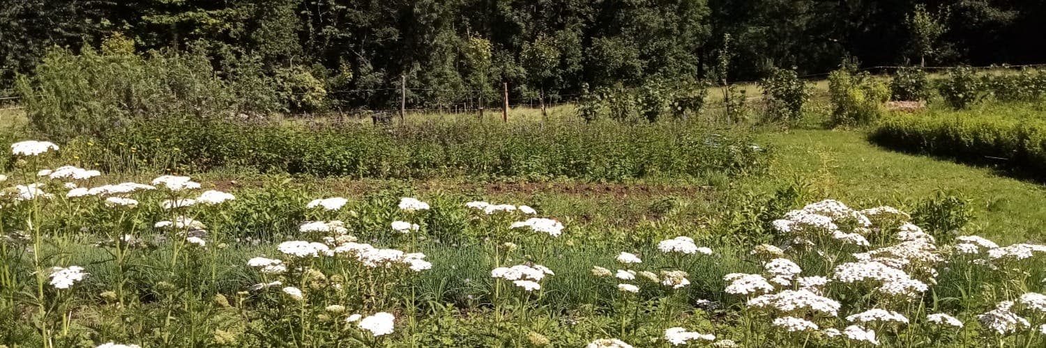 Bannière de Verdurette & Cie