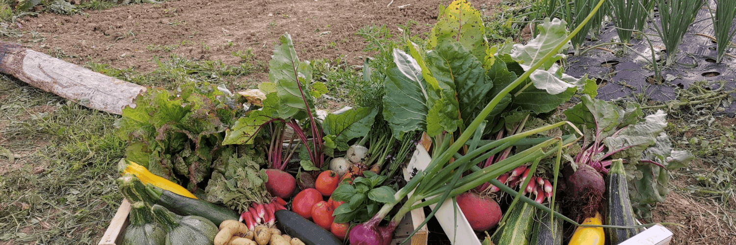 Bannière de «Ferme des trois lavoirs»
