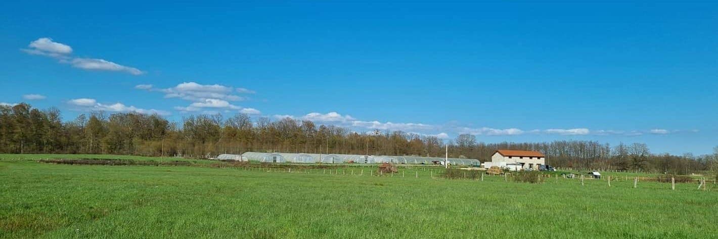 Bannière de Au potager d'Augustine 