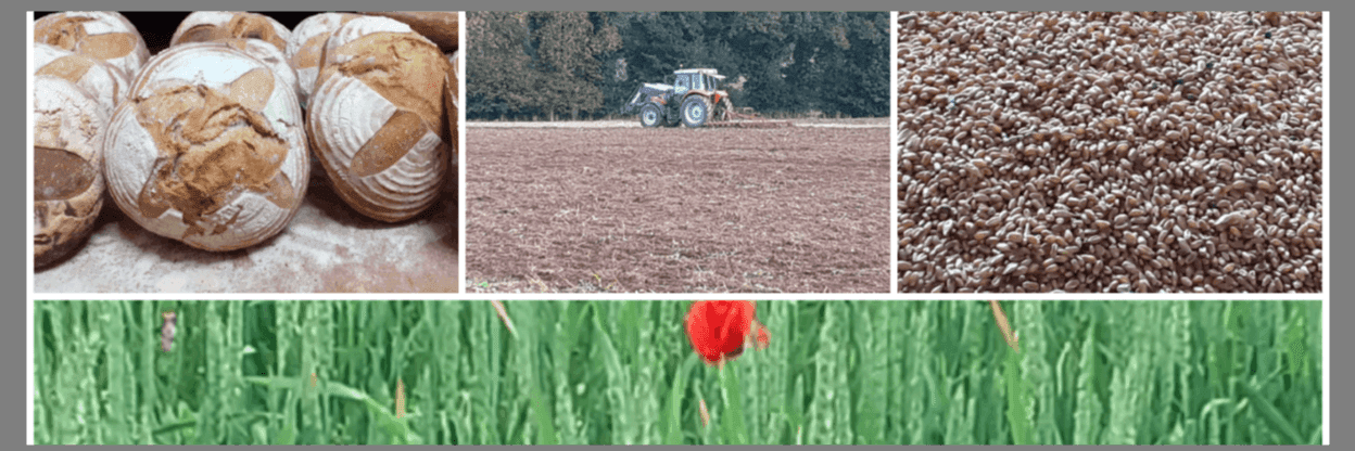 Bannière de Domaine de Kergastell