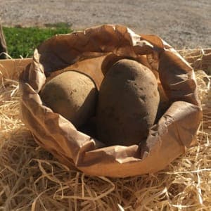 POMMES DE TERRE Maiwenn 1kg