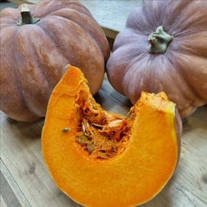 Courge musquée (tranche)