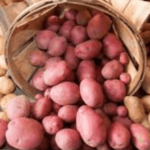 pomme de terre chair tendre