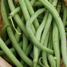 HARICOTS VERTS EN VRAC