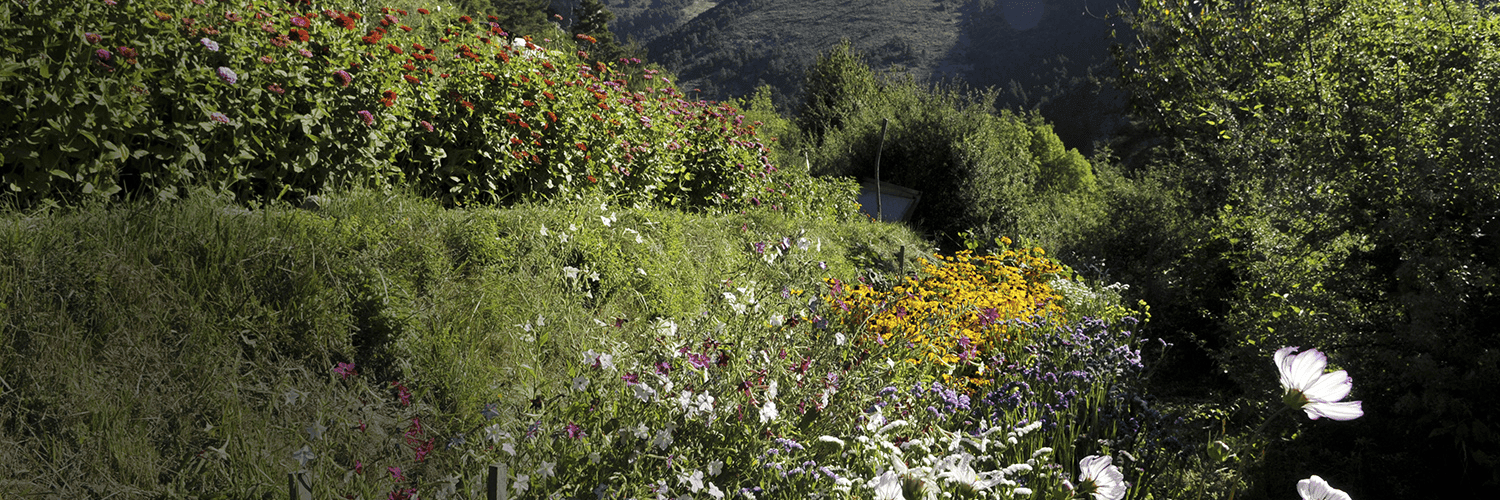 Bannière de Jardin Rocambole