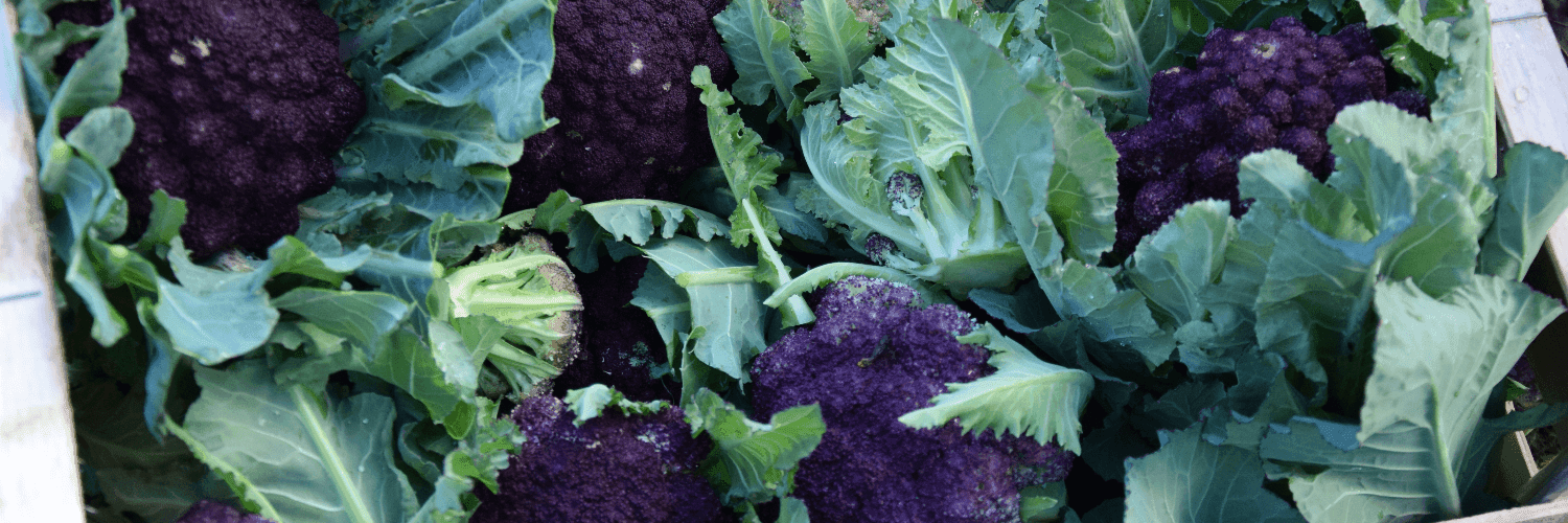 Bannière de La ferme de LILY FAIT TOUT
