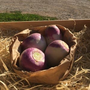 NAVETS (400 grammes)