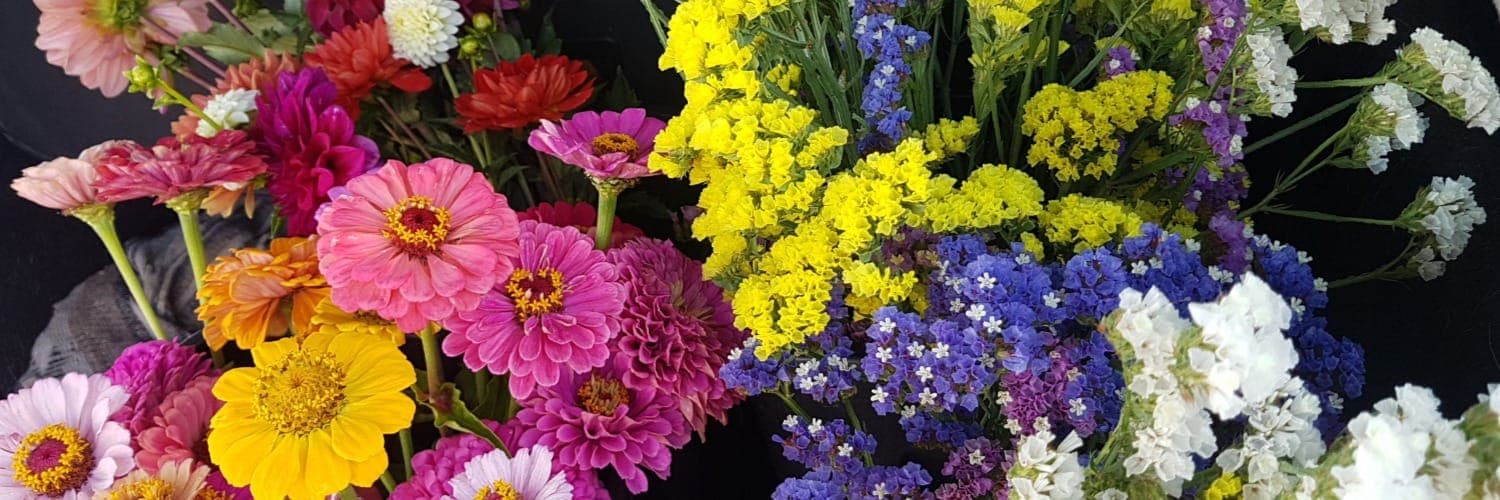 Bannière de Yosté fleurs et fibres