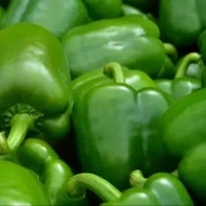 poivron