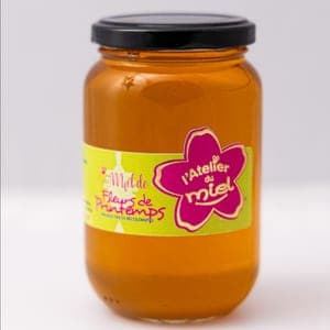 Miel de fleurs de printemps