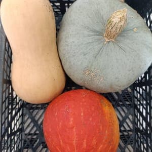 Promo mix butternut potimaron spaghetti 4kg