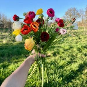 Bouquet de Renoncules