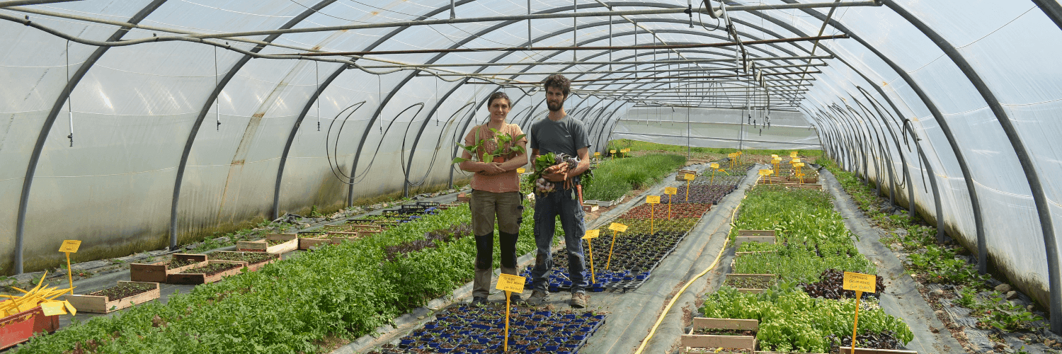 Bannière de la ferme aux prim'verts