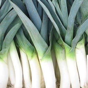 poireau 2kg