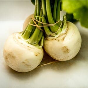 navet jaune "boulle d'or"