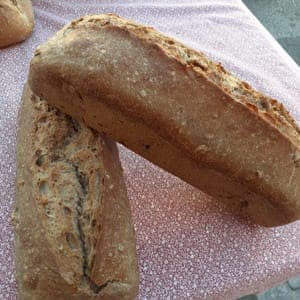 PAIN BIS AUX NOIX DE BLES ANCIENS PUR LEVAIN 500g