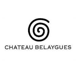 Château de Belaygues #8
