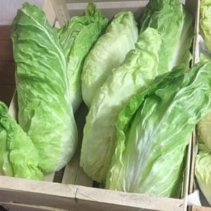 Salade pain de sucre pièce