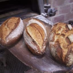 La Gloirette du Talmelier #1