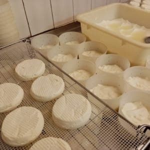 Fromage aux 3 laits : Baptistin