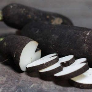 Radis noirs long