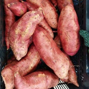 patate douce