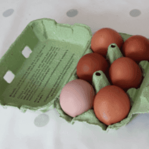 Boite de 6 œufs bio