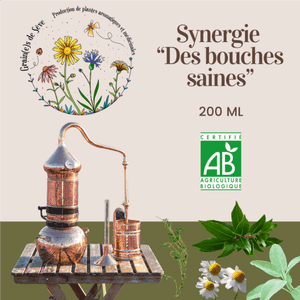 Synergie des bouches saines