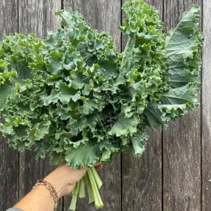 Chou kale